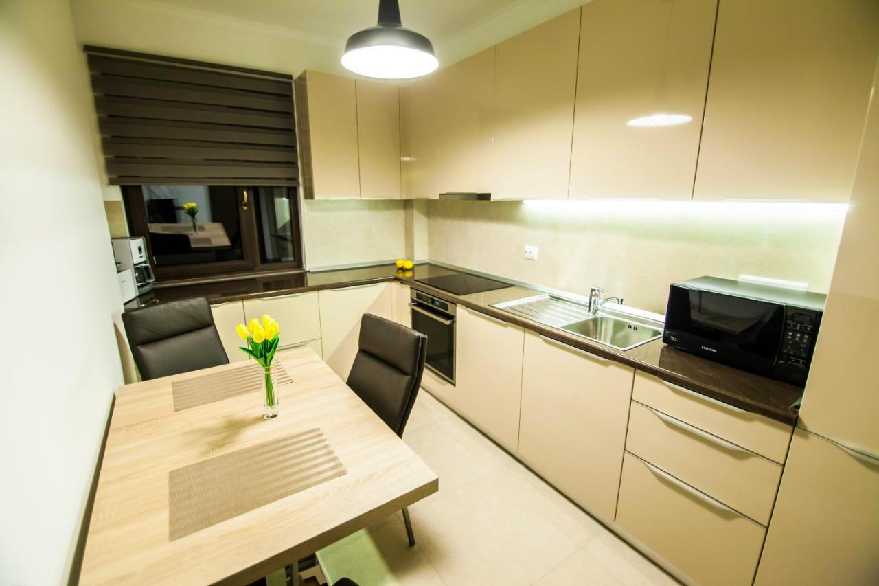 Business Class Apartment クルージュ＝ナポカ エクステリア 写真