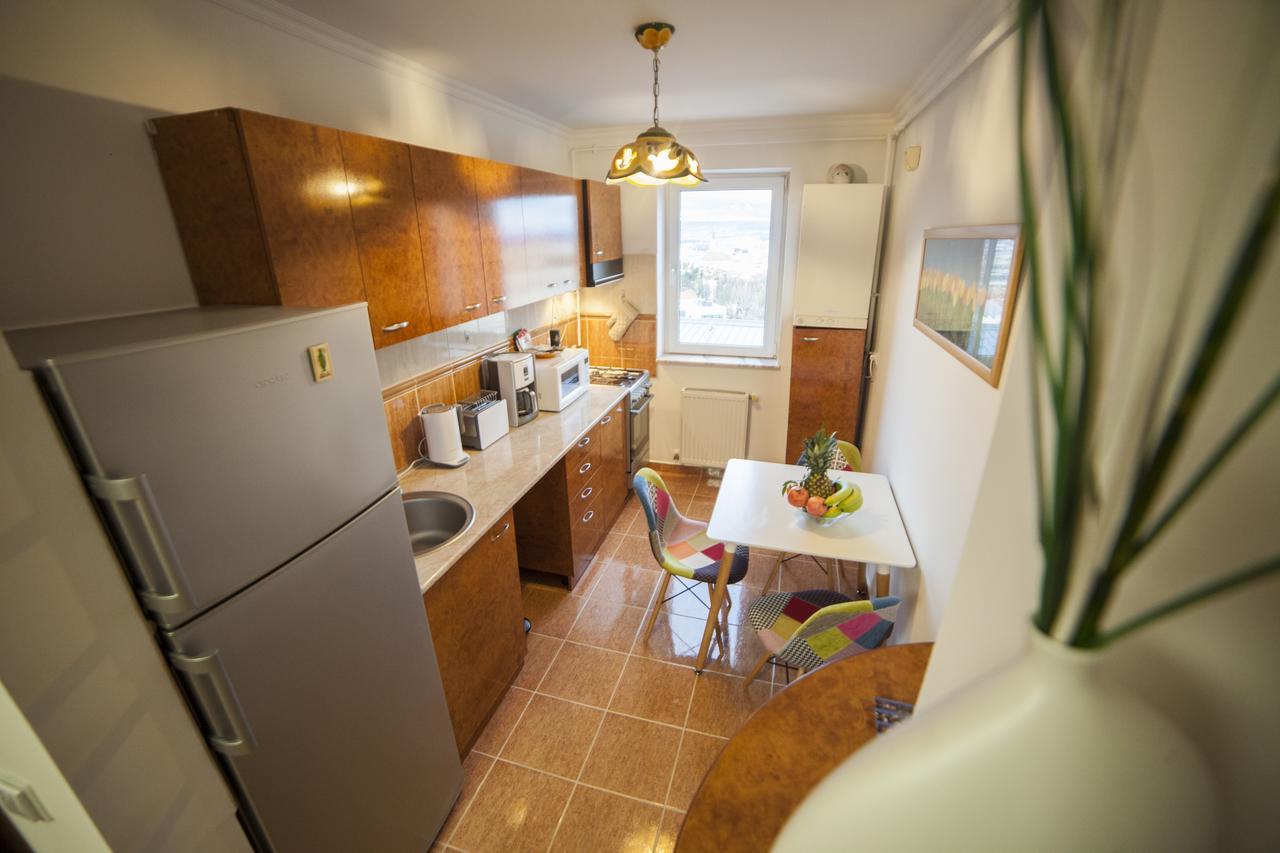 Business Class Apartment クルージュ＝ナポカ エクステリア 写真