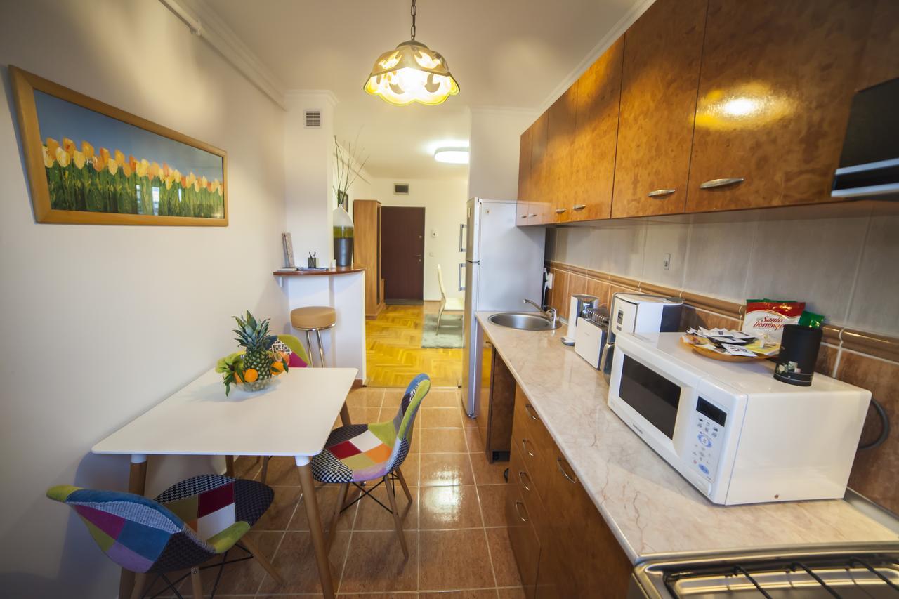 Business Class Apartment クルージュ＝ナポカ エクステリア 写真