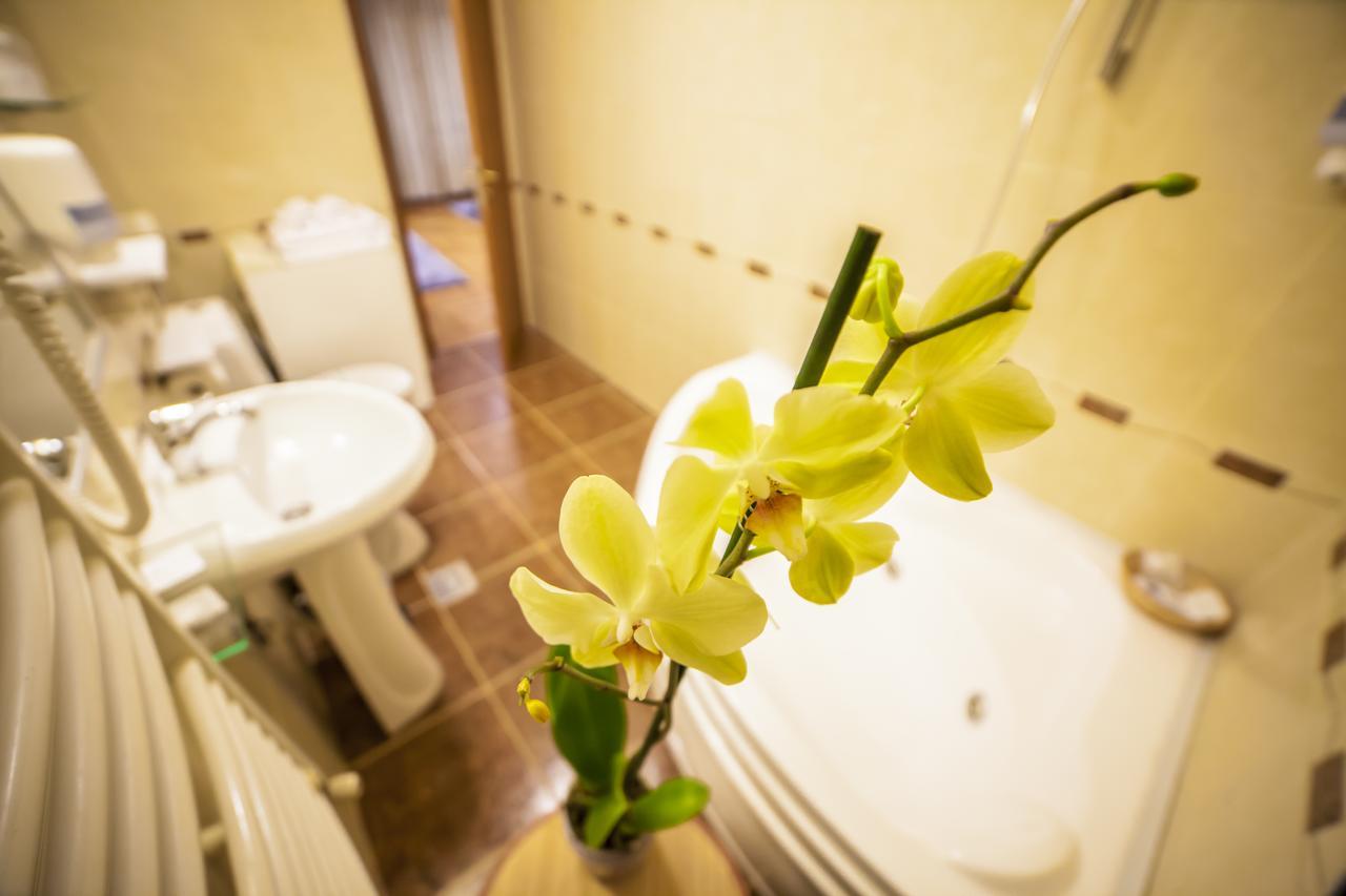 Business Class Apartment クルージュ＝ナポカ エクステリア 写真