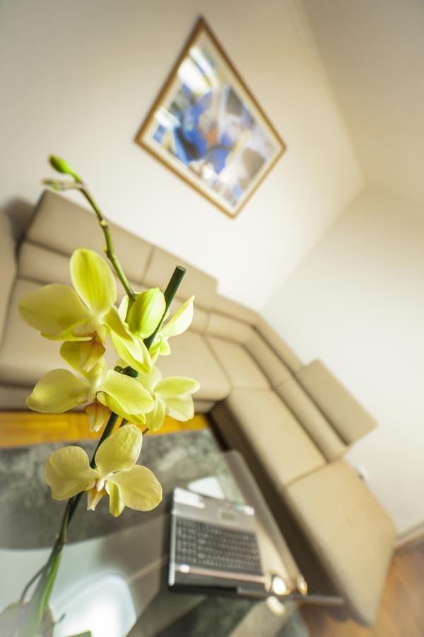 Business Class Apartment クルージュ＝ナポカ エクステリア 写真